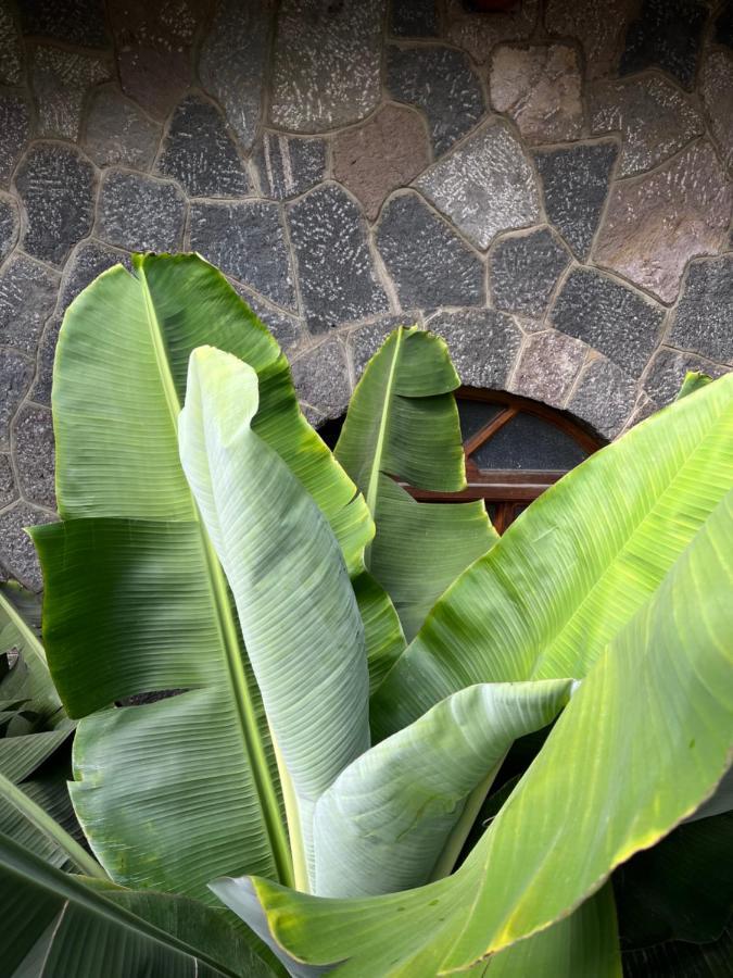 Casa Qatzij - Guest House, Lake Atitlan San Lucas Toliman Екстер'єр фото